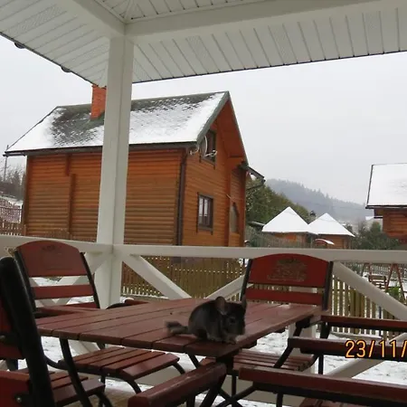 оселя * Skhidnytsia