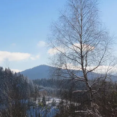 оселя Lodge Skhidnytsia