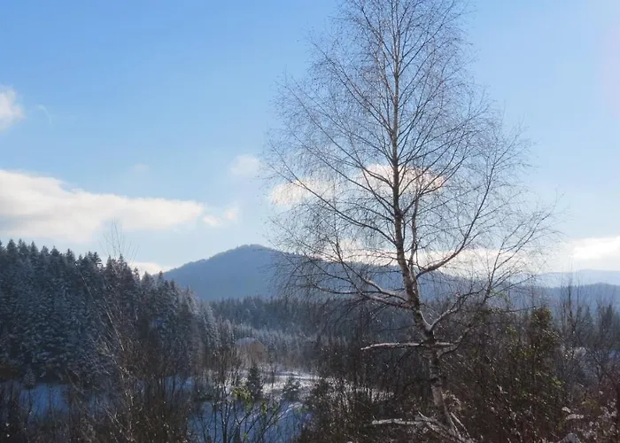 оселя Domek letniskowy Skhidnytsia